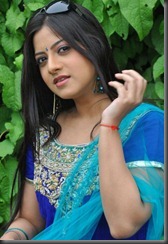 Telugu Actress Keerthi Chawla Gorgeous in Churidar Stills