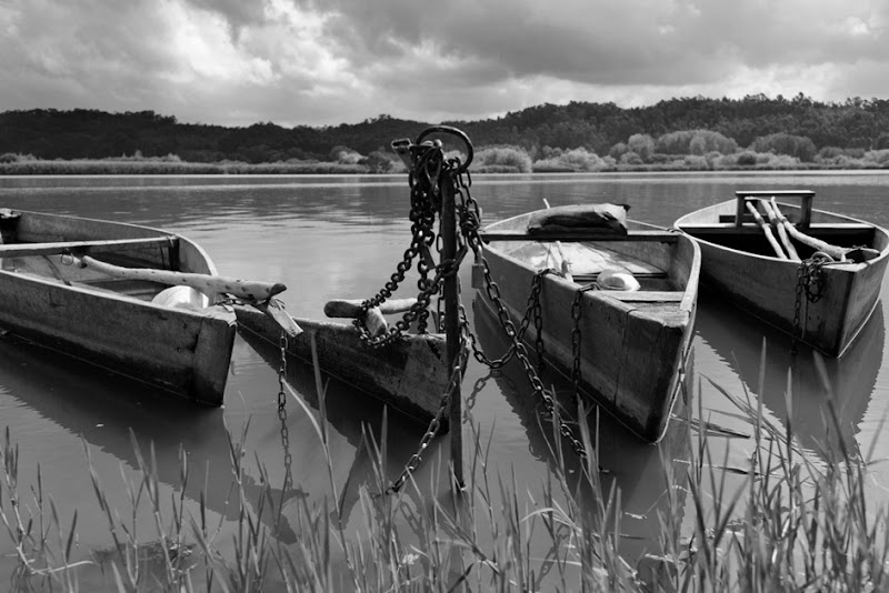 AMC_2376bw