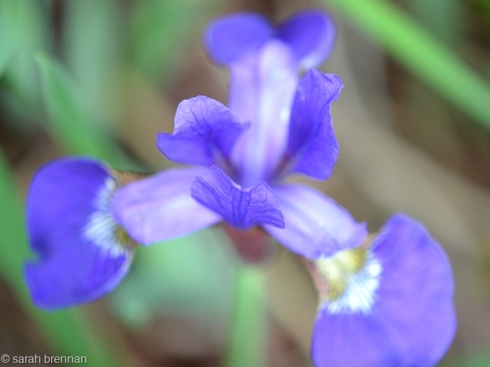 [DSC_0237%2520%25283%2529%255B12%255D.jpg]