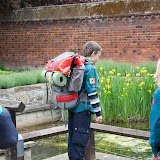 Hamletwood May 2010 - 4890681593.jpg