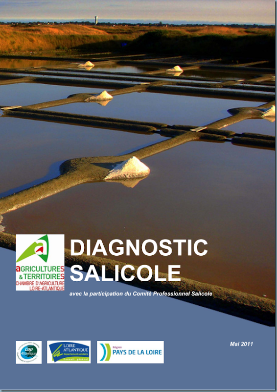 diagnostic_salicole_ca44_2011_page_001 diagnostic_salicole_ca44_2011_page_001