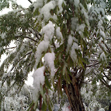 0528_124000.jpg