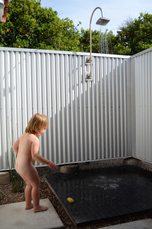 HPP_4355 HPP_4355