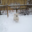 Doris i full fart