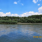 IMG_5553.JPG