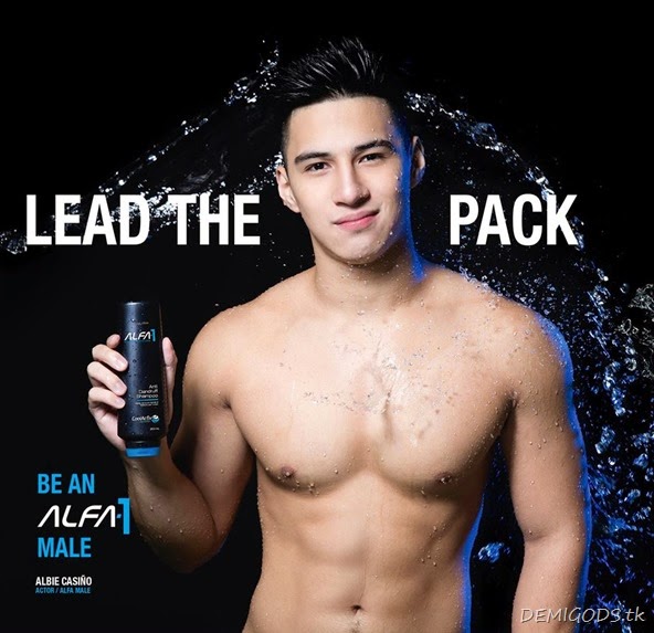 Albie Casino Alfa Male Personal Collection (1)