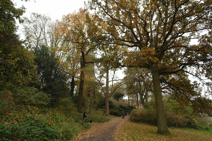 DSC03978.JPG