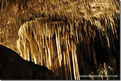 13-Cuevas del Drach - DSC_0133