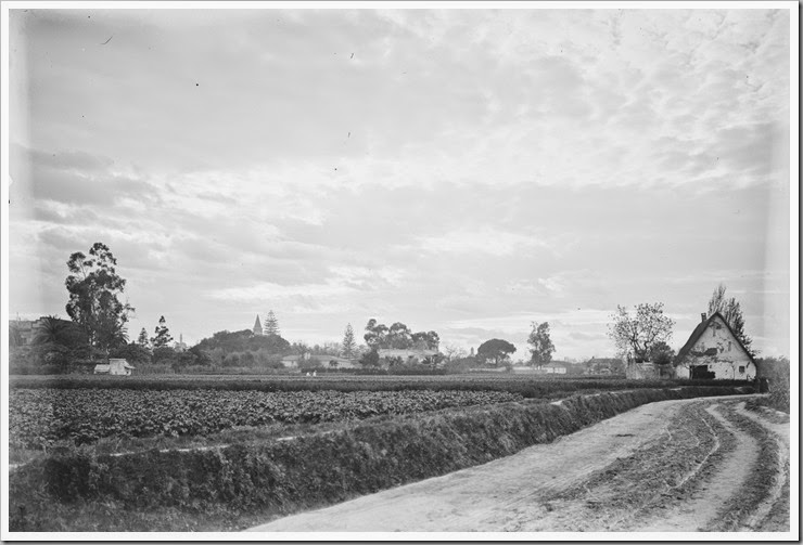 1900_la huerta 1900_la huerta