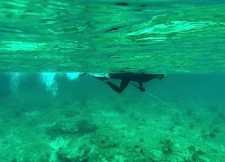 joespearfishing.jpg Joespearfishing