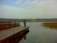 DSC07854.JPG Photo
