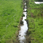 photoBourgon (2) 072.jpg
