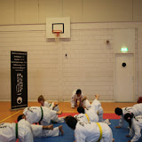IMG_6276.jpg