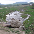 IMG_1895.jpg
