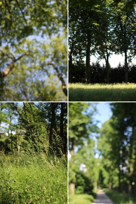 [tparcstcloud06%255B2%255D.jpg]