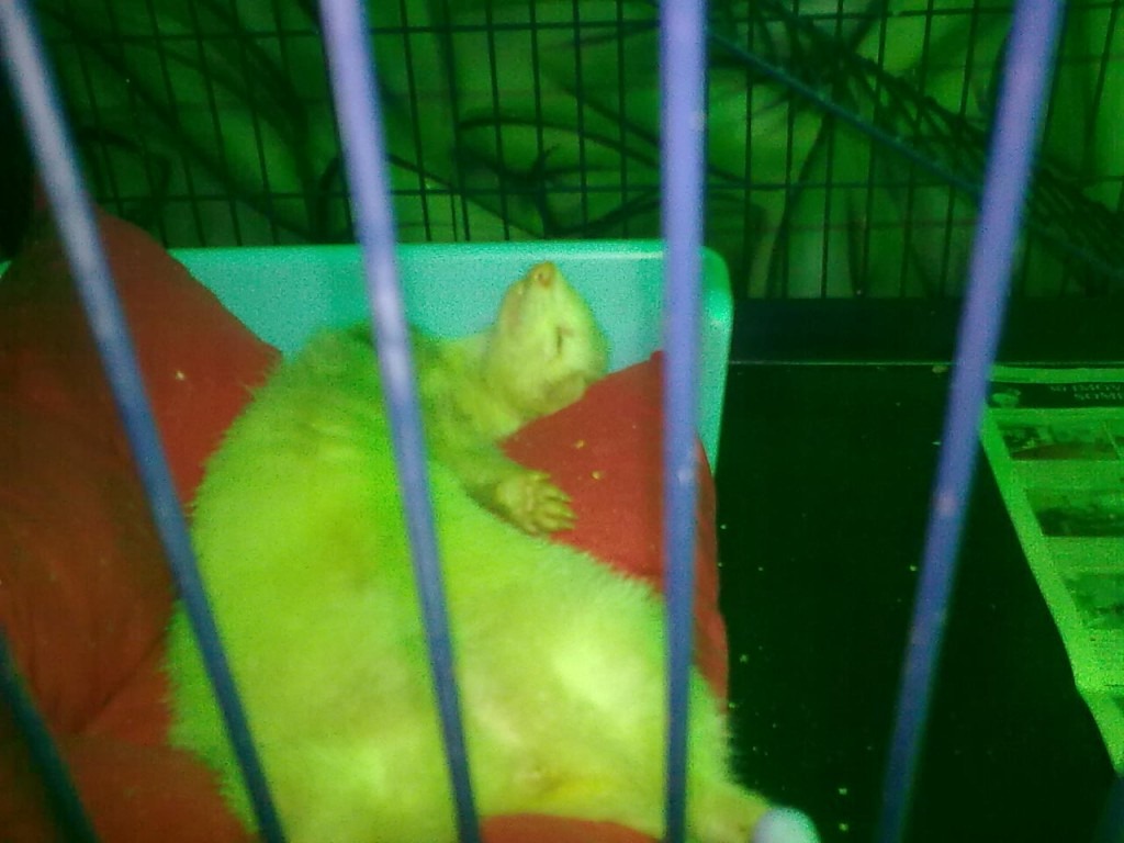 [furao-em-exposi%25C3%25A7%25C3%25A3o-1024x768.jpg]