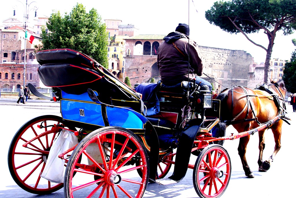[Rome%25205%2520March%2520203%255B4%255D.jpg]