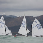 IMG_1730_big swell.JPG