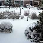 DSC_3439.JPG