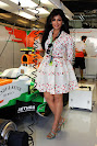 Wallpapers 2012 F1 Pit & Grid girls