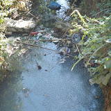 DSCN0606.JPG