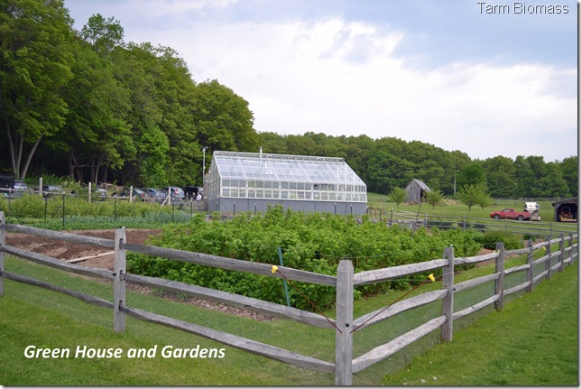 Froling FHG Green house 3 Froling FHG Green house 3