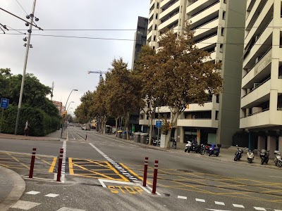 Carril bici Diagoanal / Bac de Roda - Barcelona photo (17).JPG