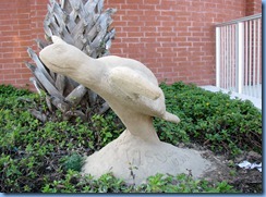 6394 Texas, South Padre Island - flying sea turtle sand sculpture in front of South Padre Island City Hall