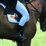 IMG_3884.JPG