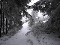 foto2010-01-02T12:20:56-000087.JPG