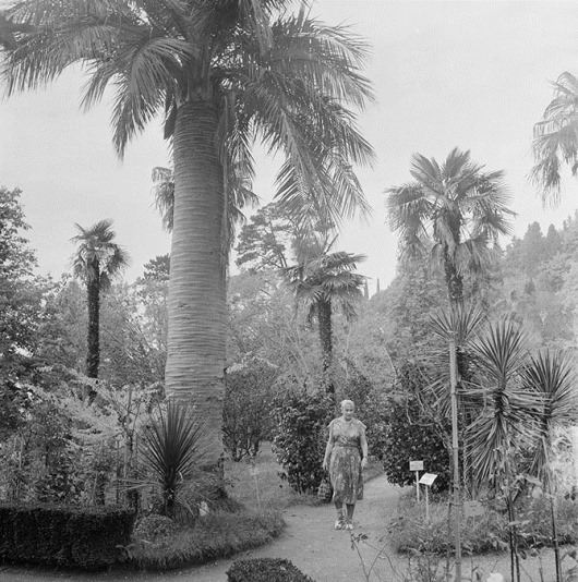 clip_image030 clip_image030
