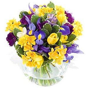 [spring-flowers%255B5%255D.jpg]