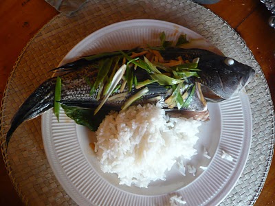 Asian Steam Striped Bass with Rice