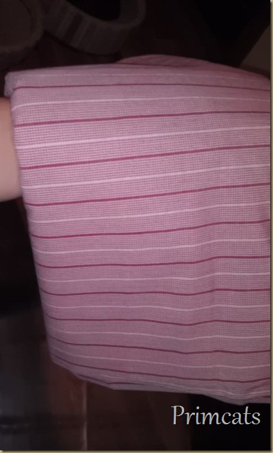 IMAG1710 IMAG1710