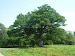 P1090866.JPG