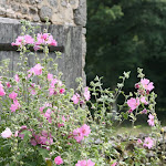 photoIMG_1092.jpg