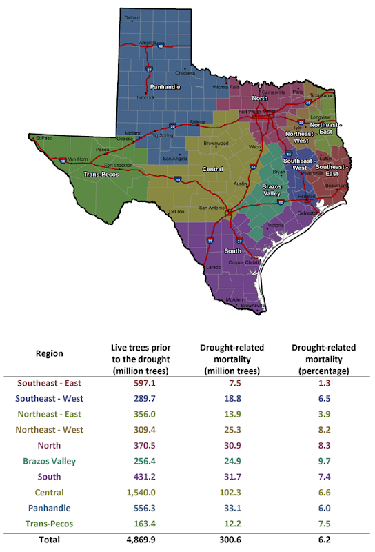 Tree mortality in Texas due to the 2011 drought. 301 million trees were killed as a result of the devastating 2011 drought. txforestservice.tamu.edu