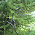 Object: 21910 - Forest fairy - 67 x 36 cm - € 1350,=