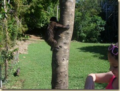 IMG_0411 IMG_0411