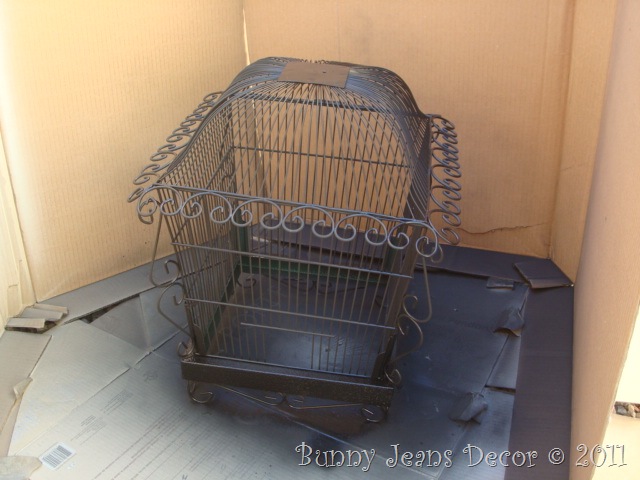 Buzzard Cage Buzzard Cage