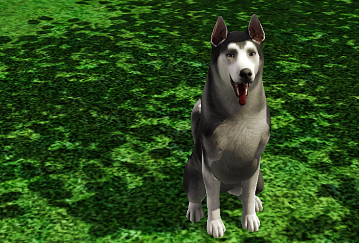 [TS3W%25202012-02-12%252019-36-50-08%255B2%255D.png]