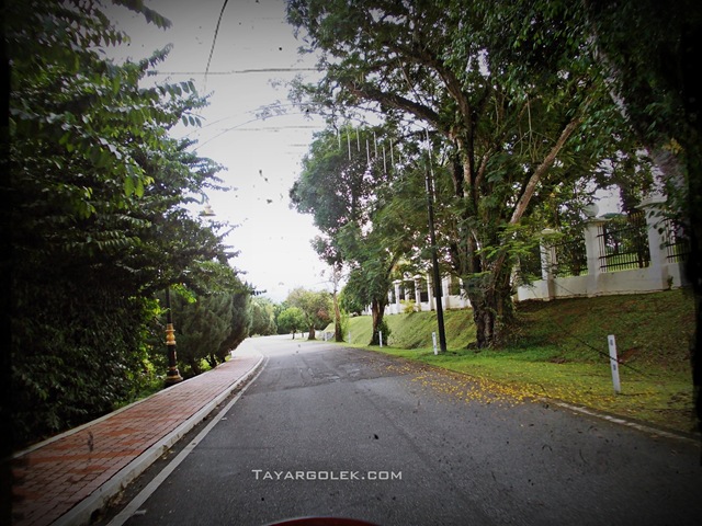 [DSCN04112.jpg]