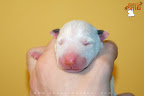 Boy 6 - day 1