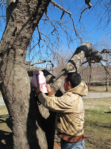 OK, Gyurme - Now that Sharkey and I have helped you out, do you think you can give me a lift onto the squirrel tree?