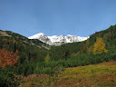 IMG_1631.jpg