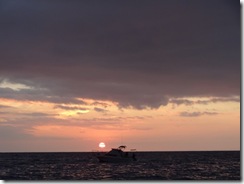 ハワイ島イルカと泳ぐドルフィンスイム ハワイ島イルカと泳ぐドルフィンスイム