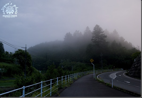 D700_2013-06-22_004 D700_2013-06-22_004