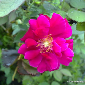 06072011628.jpg