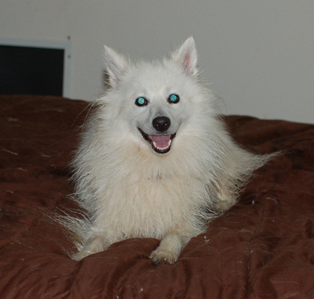 [DSC_5989%255B4%255D.jpg]