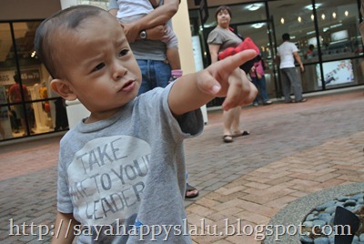 DSC_0854 DSC_0854